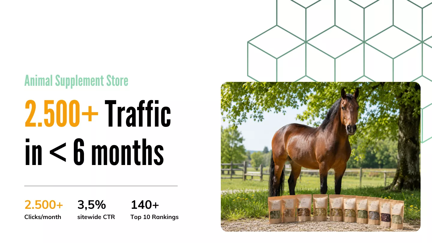 Horse Shop: From 0 to 2,000+ Clicks in Under 6 Months